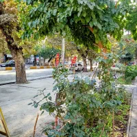 اجاره-مغازه-خیابان-اصلی-شهرعلی-آباد