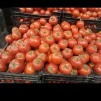 تامین سفارشات صیفی‌جات ومیوه