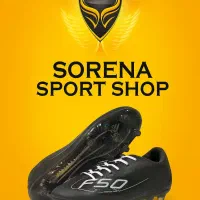 کفش پیاده روی و ورزشی|کیف، کفش، کمربند|طبس, |دیوار