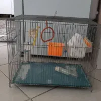 قفس پرنده|لوازم جانبی حیوانات|کرمانشاه, |دیوار