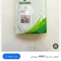 یک کیلو نهال پیاز برای فروش