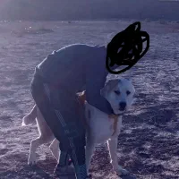 سگ الابای معاوضه