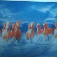 پرده عمودی وپرده ی تزئینی|پرده، رانر، رومیزی|بروجن, |دیوار