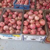 انار درجه ا|عمدهفروشی|فیروزآباد (فارس), |دیوار