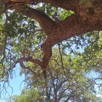 سیم کارت رند۰۹۱۲