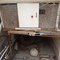 طوری مرغ و کبوتر