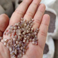 استخدام کارگراتباع وایرانی