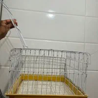 قفس|لوازم جانبی حیوانات|بندر ماهشهر, |دیوار