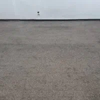 موکت ظریف مصور