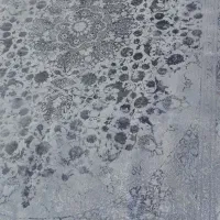 قالیشویی سپاهان