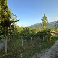 1000-متر-زمین-با-جواز-بوگردی-و-انشعابات-کامل