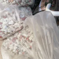 فروش وسایل اکواریوم|لوازم جانبی حیوانات|رفسنجان, |دیوار