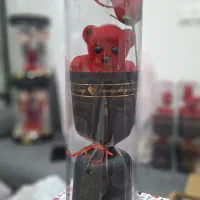 ولنتاین کادو|کلکسیون و سرگرمی|جهرم, |دیوار