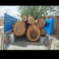 خریدار انواع چوب|خدمات باغبانی و درختکاری|شیروان (لرستان), |دیوار