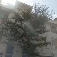 راهنمایی