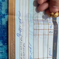 گوشواره صدفی