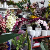 انواع گل های  طبیعی و مصنوعی  در گلکده فلورا|گل و گیاه طبیعی|مهاجران, |دیوار