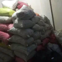 نان خشک برداشت نان خشک از ۵۰کیلو به بالا