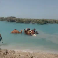 گشت جزیره قشم