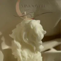 شمع اسب نماد سال و نوروز ۴۰۵ ( با نام آلجنتو)|صنایع دستی و سایر لوازم تزئینی|تهران, پاسداران|دیوار