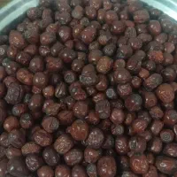 عناب خراسان|خوردنی و آشامیدنی|نطنز, |دیوار