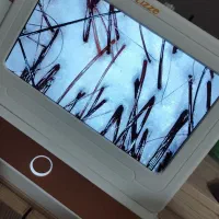 تخفیف ویژه|خدمات آرایشگری و زیبایی|رشت, صفاری|دیوار