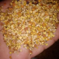 گرده گل
