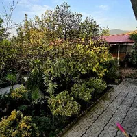 فروش باغ ویلا|فروش خانه و ویلا|لیسار, |دیوار