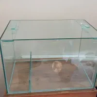 اکواریوم دارای پل شیشه ای ودرب شیشه ای