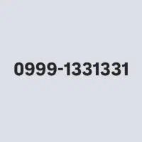 0999-1331331