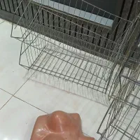 قفسه هر عدد ۱۰۰.  نیستند.  هر عدد ۱۰۰.