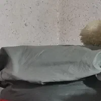 چادر ماشین برزنت