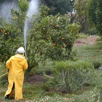 سمپاشی و هرس درختان باغ و باغچه،ضدعفونی منازل