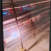 ملزومات مرغداری