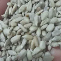 لپه محلی قابلمه پزباقیمت خیلی مناسب|خوردنی و آشامیدنی|شیراز, شهرک ترکان|دیوار