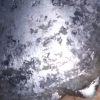 سکه یا