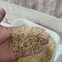 ریزه گندم مناسب مرغ خروس کبوتر