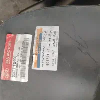 شلگیر گل پخش کن کیا ریو