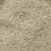برنج شیرودی