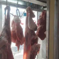 فروش انواع گوشت|خوردنی و آشامیدنی|حمیدیا, |دیوار