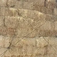 پخل گندم دست اول درجه یک|حیوانات مزرعه|نصر آباد, |دیوار