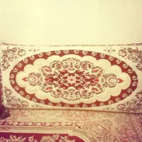 دوتاپشتی سالم تمیز