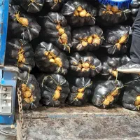 سیبزمینی لوکس