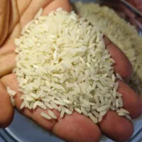 برنج کامفیروز درجه یک