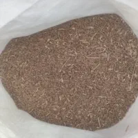 گندم افتاب برش امسال