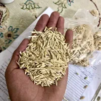 فروش جو پاییزه