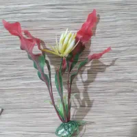 وسایل تزئینات آکواریوم|ماهی|سهند, |دیوار