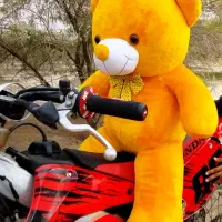 خرسی تدی|اسباببازی بچه|امیدیه, |دیوار