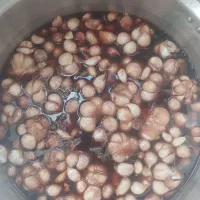 ترشی خونگی