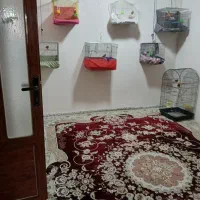 اجاره‌ آپارتمان